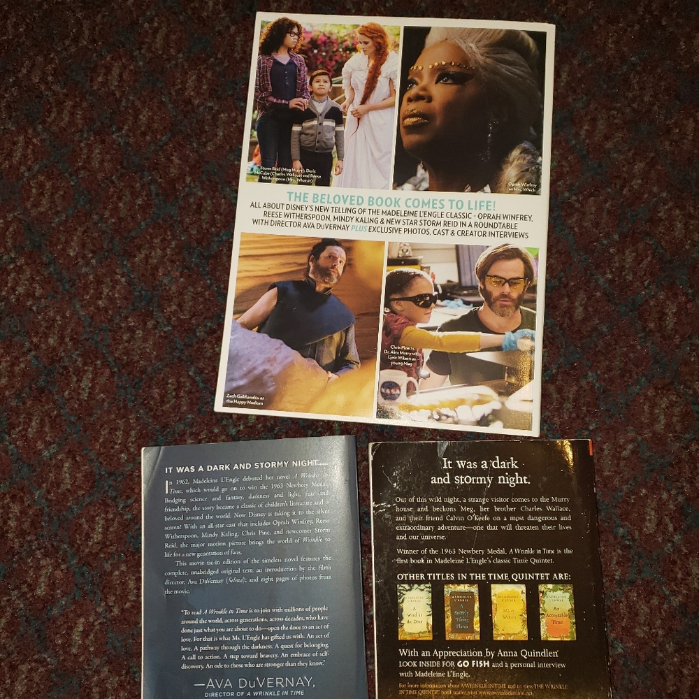 A Wrinkle in Time 3 pc fair condition bundle - Picture 2 of 8